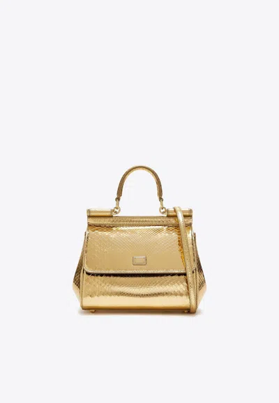 Dolce & Gabbana Medium Sicily Python Print Leather Top Handle Bag In Gold