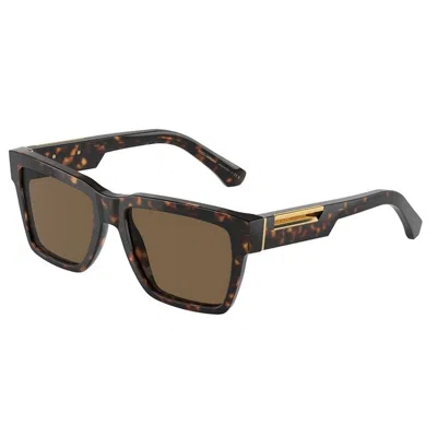 Dolce & Gabbana Classic Acetate Sunglasses For Men In Brown