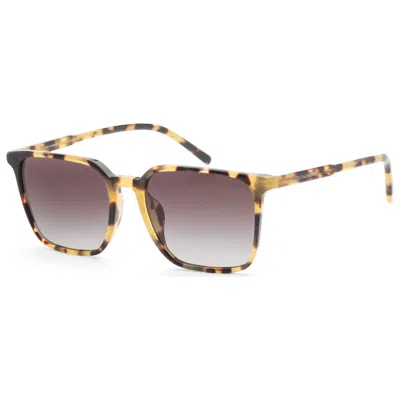 Dolce & Gabbana Men's Sunglasses In Brown