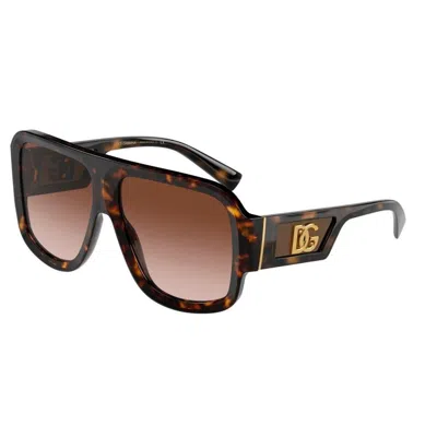 Dolce & Gabbana Men's Sunglasses  Dg 4401 Gbby2 In Brown