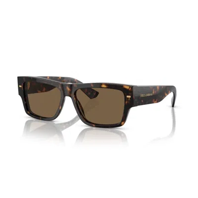 Dolce & Gabbana Men's Sunglasses  Dg 4451 Gbby2 In Brown