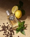 Dolce & Gabbana Dolce Gabbana Mens Devotion For Men Fragrance Collection In No Color