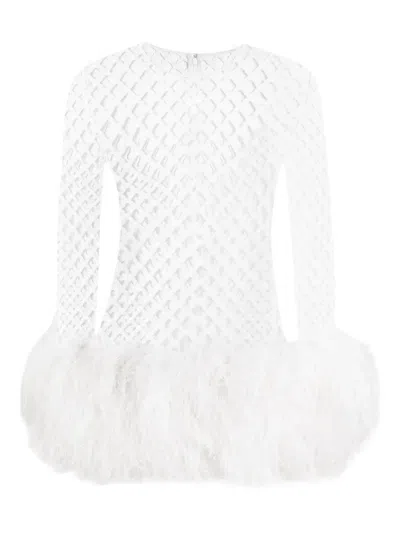Dolce & Gabbana Mesh Feather-trim Mini Dress In White