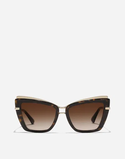 Dolce & Gabbana نظارات شمسية Metal Print In Brown