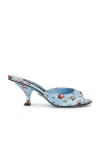 Dolce & Gabbana Mid Sandal In Multi