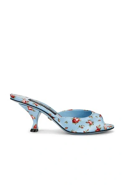 Dolce & Gabbana Mid Sandal In Multi