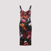 Dolce & Gabbana Floral Print Dress In Multi