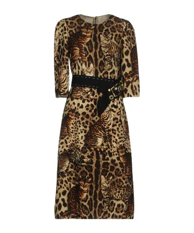 Dolce & Gabbana Midi Dress In Brown