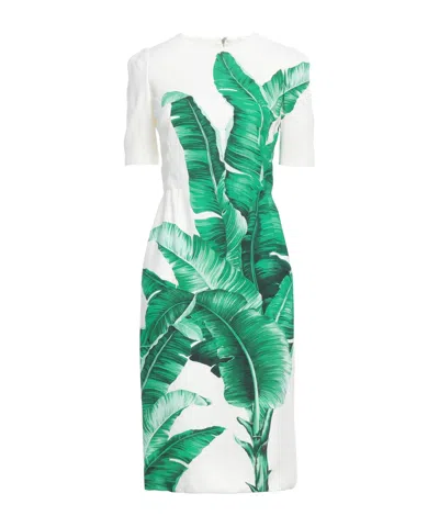 Dolce & Gabbana Midi Dress In Green