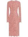Dolce & Gabbana Women Branded Floral Cardonetto Lace Sheath Dress In Pink & Purple