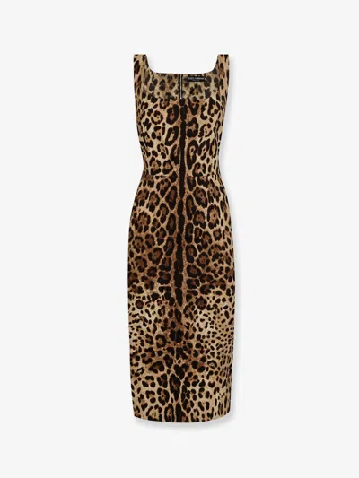 Dolce & Gabbana Midi Dress With Animal Print In Multi