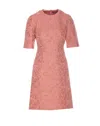 Dolce & Gabbana Floral-jacquard Midi Dress In Pink