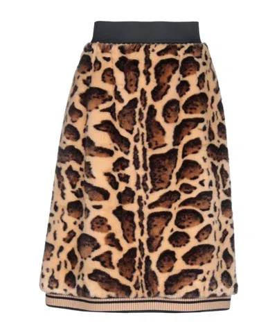 Dolce & Gabbana Midi Skirt In Brown
