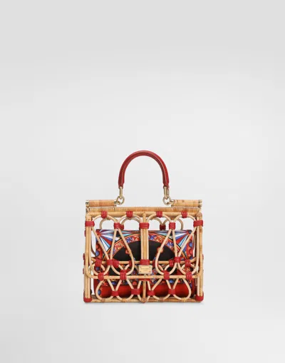Dolce & Gabbana Mini Bags In Multicolor