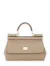 Dolce & Gabbana Mini Shoulder Bag In Brown