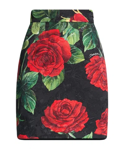 Dolce & Gabbana Mini Skirts In Black