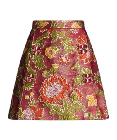 Dolce & Gabbana Mini Skirts In Brown