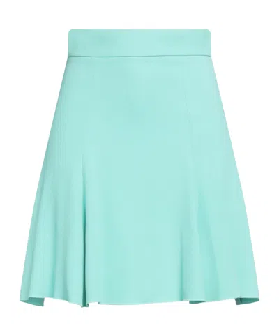 Dolce & Gabbana Mini Skirts In Green