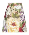 Dolce & Gabbana Mini Skirts In Multi