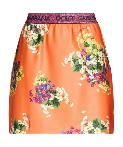 Dolce & Gabbana Mini Skirts In Multi