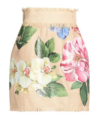 Dolce & Gabbana Mini Skirts In Neutral