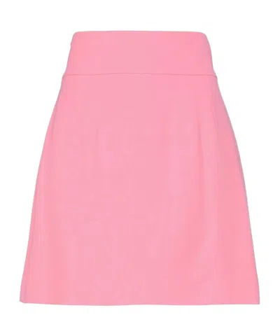 Dolce & Gabbana Mini Skirts In Pink