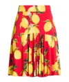 Dolce & Gabbana Mini Skirts In Multi
