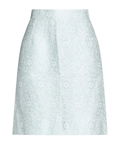 Dolce & Gabbana Mini Skirts In Animal Print