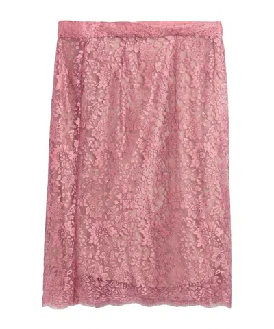 Dolce & Gabbana Minimalist Solid Lace Midi Skirt In Pink