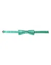 Dolce & Gabbana Mint Green Silk Adjustable Neck Men Bow Tie In Green
