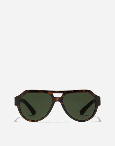 Dolce & Gabbana Mirror Logo Sunglasses In Brown