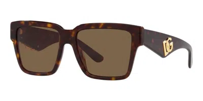 Dolce & Gabbana Dg4436 502/73 Women's Sunglasses - Havana Frame, Brown Lenses In Black