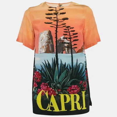 Pre-owned Dolce & Gabbana Multicolor Capri Print Silk Top S