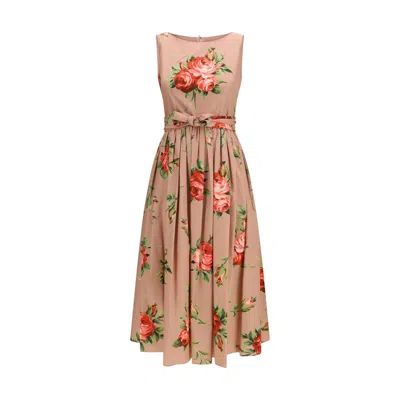 Dolce & Gabbana Cotton Sleeveless Boat Neck Floral Print Midi Dress In Animal Print