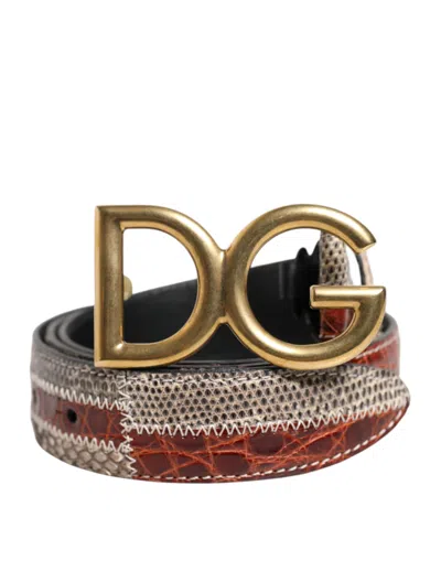 Pre-owned Dolce & Gabbana Multicolor Exotic Leather Dg Logo Buckle Men's Belt ()