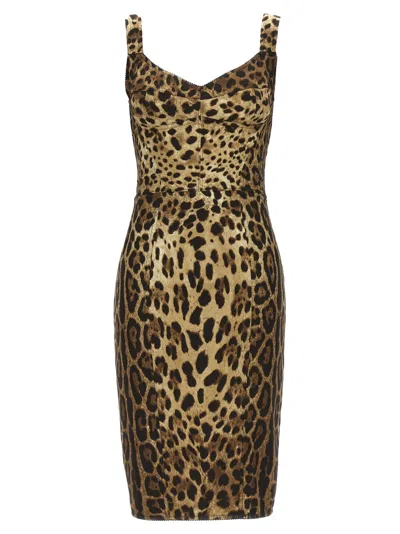 Dolce & Gabbana Multicolor Leopardo Corset Dress In Black