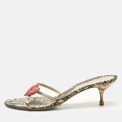 Pre-owned Dolce & Gabbana Multicolor Python Heart Slide Sandals Size 41