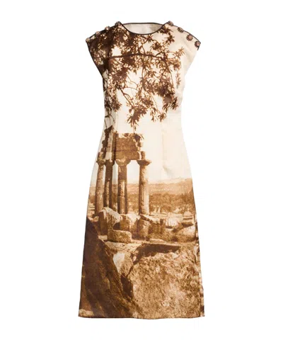 Dolce & Gabbana Multi-colored Organza Sleeveless Dress In Brown