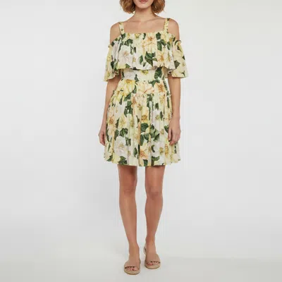Pre-owned Dolce & Gabbana Multicolour Floral Print Cotton Camellia Mini Dress S