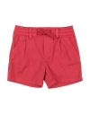 Dolce & Gabbana Newborn Boy Shorts & Bermuda Shorts Pink Size 3 Cotton, Polyester In Pink