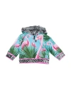 Dolce & Gabbana Newborn Boy Sweatshirt Azure Size 3 Cotton In Blue