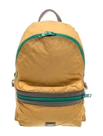 Pre-owned Dolce & Gabbana Nylon Backpack In Neutrals