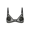 Dolce & Gabbana Floral-motif Triangle Bra In Black