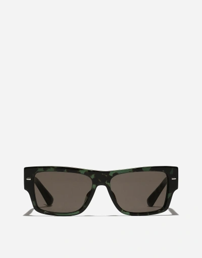 Dolce & Gabbana Occhiale Sole-202401 In Havana Green