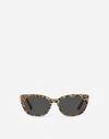 Dolce & Gabbana Occhiale Sole In Leo Print