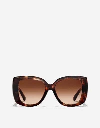 Dolce & Gabbana Occhiali Da Sole Everyday In Generic