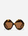 Dolce & Gabbana Occhiali Da Sole Italian Tailoring In Brown