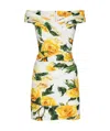 Dolce & Gabbana Rose Print Draped Poplin Mini Dress In Multicolor