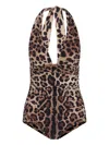 Dolce & Gabbana Women Leopard Printed Sensitive Fabric One-piece Swimsuit In Brown