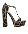 Dolce & Gabbana Keira Leopard Satin T-strap Platform Sandals In Black
